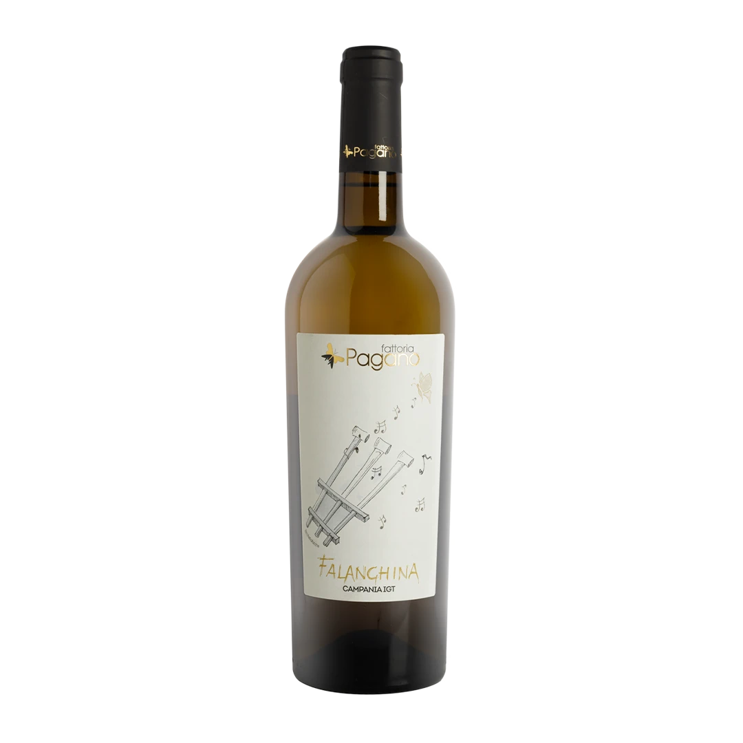 Aglianico