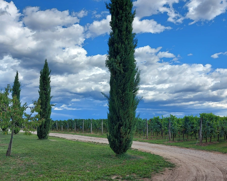 Borgo Claudius