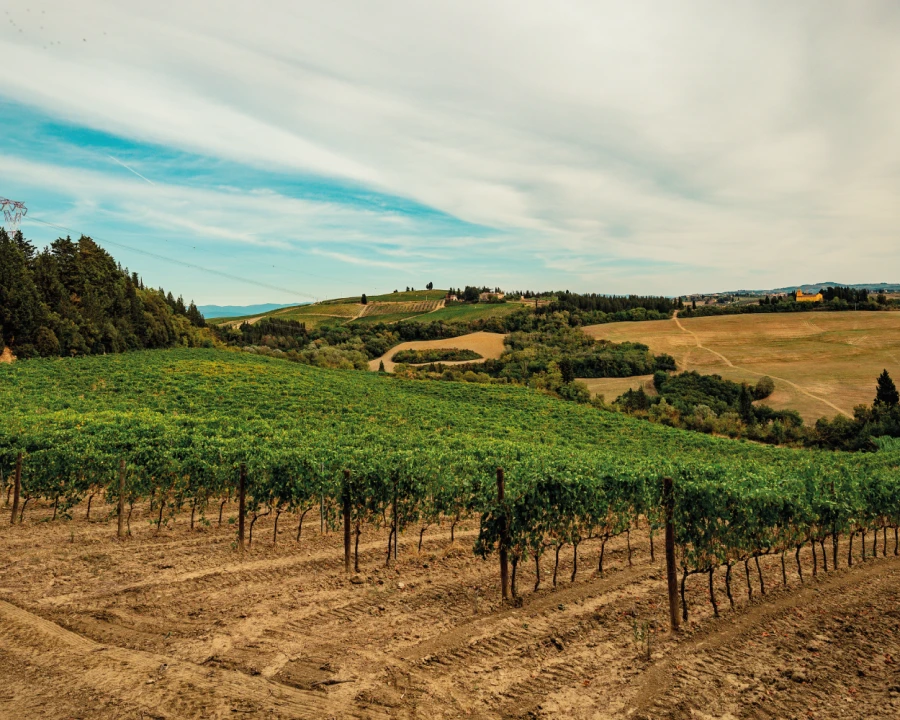 Tenuta Coeli Aula